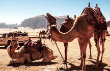 From Amman to Petra Wadi Rum Dead Sea 2 or 3 Days Private Tour