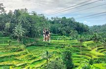 Ubud Half Day Skybike and Zipline Rice Terrace Tour
