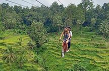 Ubud Half Day Skybike and Zipline Rice Terrace Tour