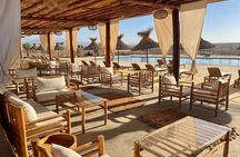 Agafay Desert Quad & Camel Rides, Ourika Valley & Dinner Show