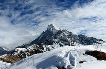 Mardi Himal Base Camp Trek from Pokhara 4 Days