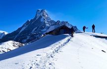 Mardi Himal Base Camp Trek from Pokhara 4 Days