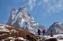 Mardi Himal Base Camp Trek from Pokhara 4 Days