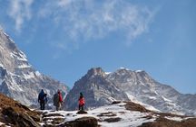 Mardi Himal Base Camp Trek from Pokhara 4 Days