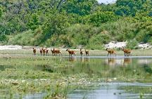 2 Night 3 Day Chitwan Jungle Safari Tour from Pokhara