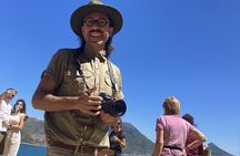 Cape Town: Peninsula, Cape of Good Hope and Penguins Tour