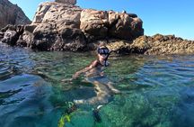 Snorkel and arch tour in los cabos