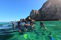 Snorkel and arch tour in los cabos
