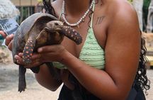 Ecotour craft fishing and cultural immersion in mangroves