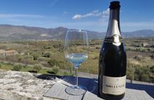 Castelmola and Etna Wine Tasting Tour from Messina