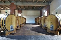 Castelmola and Etna Wine Tasting Tour from Messina