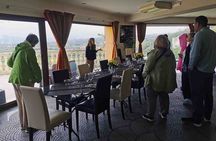 Castelmola and Etna Wine Tasting Tour from Messina
