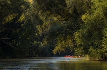 Canoe trip from Hainburg to Bratislava