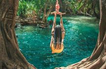 Waterfall, coffee tour & hot springs - lunch and drinks included 
