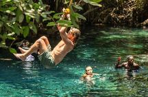 Waterfall, coffee tour & hot springs - lunch and drinks included 