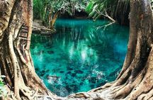 Waterfall, coffee tour & hot springs - lunch and drinks included 