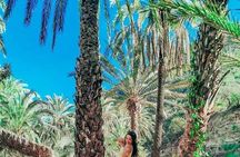 Paradise Valley & the Atlas Mountains: Nature’s Hidden Gems