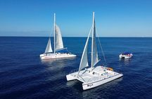 Saona Island Tour