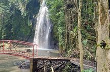 Ubud Half Day Skybike and Zipline Rice Terrace Tour