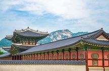 Customizing Private Tour in Seoul with Car