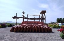 From Ica or Huacachina: Pisco Wine and Buggy Tour in Huacachina