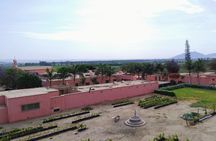From Ica or Huacachina: Pisco Wine and Buggy Tour in Huacachina