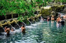Ubud Monkey Forest, Water Temple, Rice Terrace with Jungle Swing