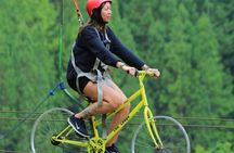 Ubud Half Day Skybike and Zipline Rice Terrace Tour