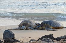 Oahu's Cheapest Circle Island Tour