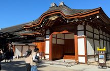 Nagoya Castle Private Guided Tour