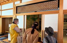 Nagoya Castle Private Guided Tour