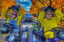 90 min Tokyo Go-Kart: Shibuya Crossing and Tokyo Tower*IDP MUST*