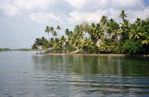 Midday Cruise with Village Life