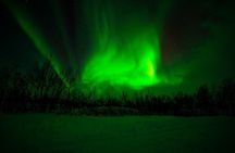 Tromso Northern Lights Glass Minibus Tour with Dinner