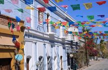 Todos Santos Day Trip from Cabo on Art History and Culinary