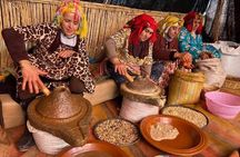 Marrakesh: High Atlas, imlil Valley & Waterfalls Tour