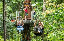 Zipline, Sanctuary Park, City Tour, Ron and Cholate Factory View