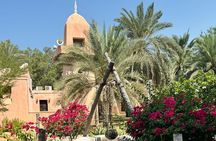 Abu Dhabi Half Day City Tour Sharing Experience