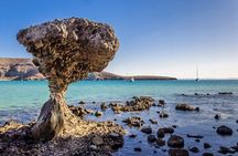 Balandra Beach Bliss Your Baja Day Adventure from Cabo