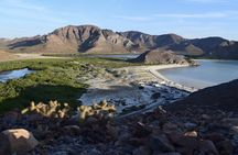 Balandra Beach Bliss Your Baja Day Adventure from Cabo