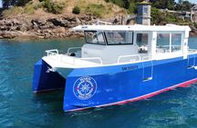 One hour boat trip with a local (Commented FR & EN)