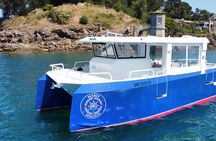 Saint-Malo: 1h30 guided boat excursion (Commented FR & EN)