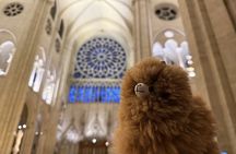 Paris Private Guided Walking Tour with Notre-Dame Visit