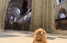 Paris Private Guided Walking Tour with Notre-Dame Visit