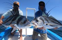 Baja Fishing Dream Roosterfish Dorado Marlin Yellowtail Tuna 