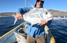 Baja Fishing Dream Roosterfish Dorado Marlin Yellowtail Tuna 