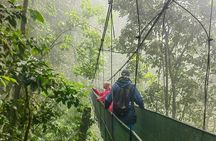 Private Rainforest Day Tour: Sloths, Waterfall, Bridges & Coffee 
