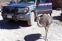 Salar de Uyuni private tour 1 day, with sunset