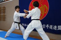 Karate Experience with the Shotokan Karate-do Instructor