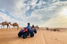 Premium Red Dunes Desert Safari With Quad Bike Option,Camel Ride
